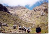 Choquequetarpo pass
