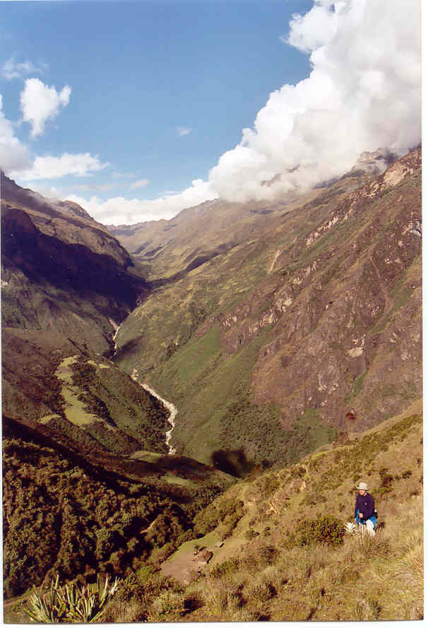 Yanama