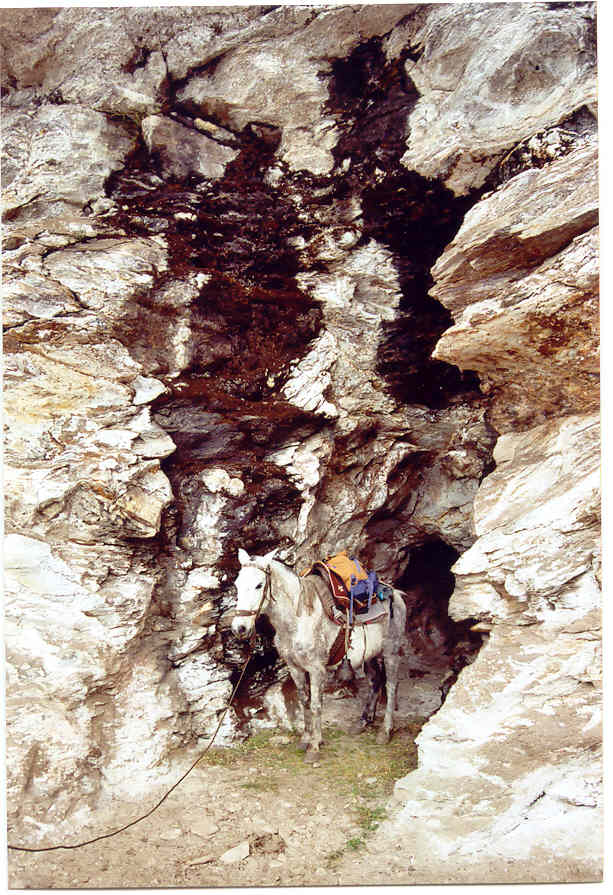 Minas Victoria