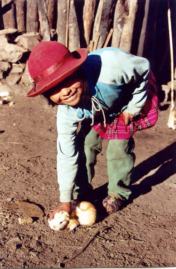 Maizal  :  Sacca girl catching cuy for dinner