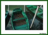 Green fishing boats, Chelles
