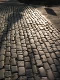 Cobbled path