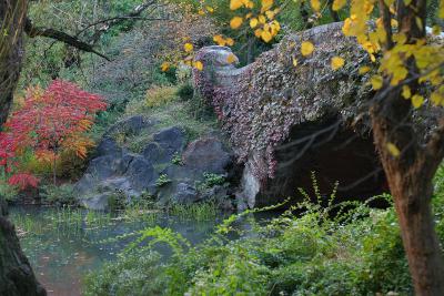 Central Park in the fall