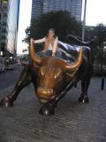 Sammo the bull