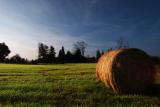 ole bale of hay