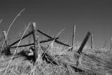 Posts I