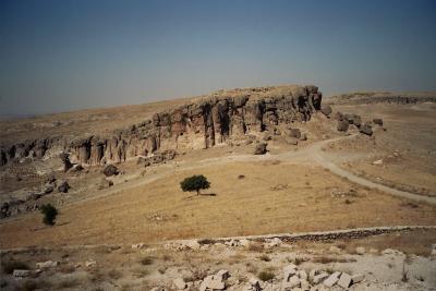 Near Guzelyurt