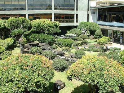 The surprisingly nice and surprisingly deserted garden at Honolulu airport.