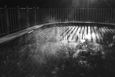 DSC_2772_BW.jpg