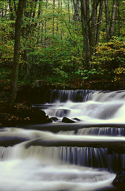 Clinch Mountain Wildlife Management Area, Virginia