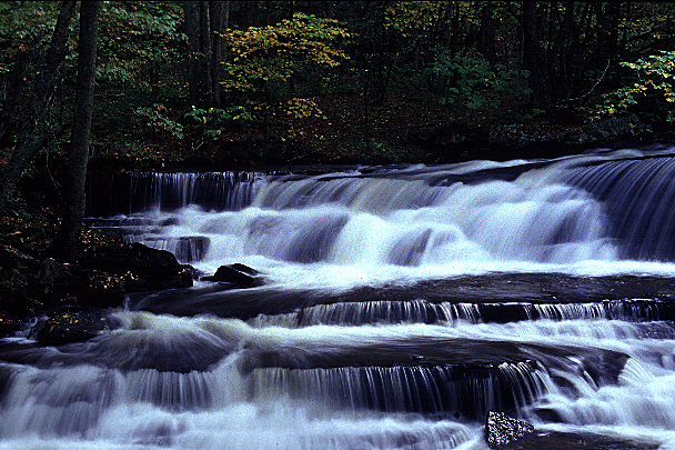 Clinch Mountain WMA