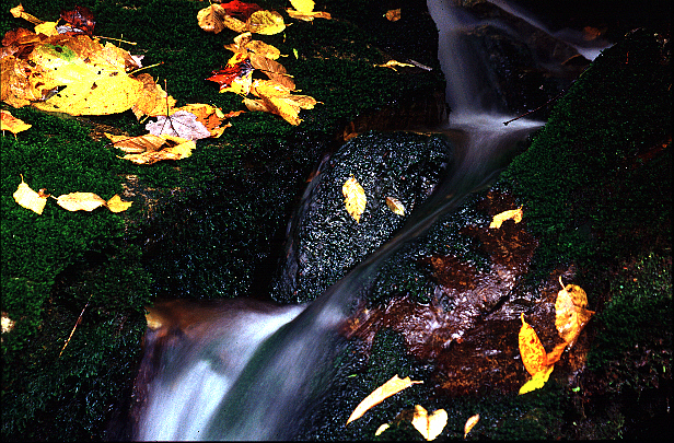 water3 small.jpg