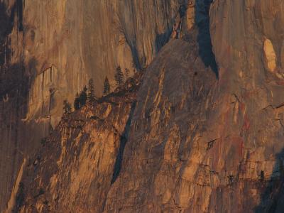 Half Dome in Evening Light