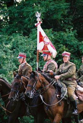 horses
