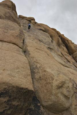 JTree Climbing