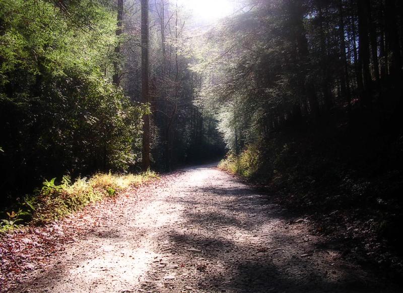 Coopers Creek 11/09/04