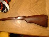Birch M14 stock after staining