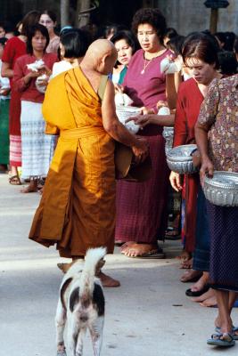 Alms giving to a monk on Buddha day; three bags of rice for good luck, Ban On Luai
