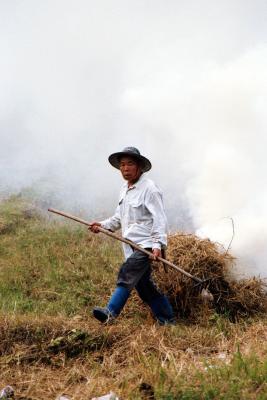 Farming in Smoke, Ban On Luai, On Nue, Mae On