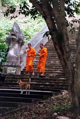 Monks at the Forrest Wat, Chiang Mai