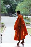 Chiang Mai Monk