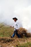 Farming in Smoke, Ban On Luai, On Nue, Mae On