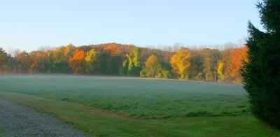 Field in the morning mist, III