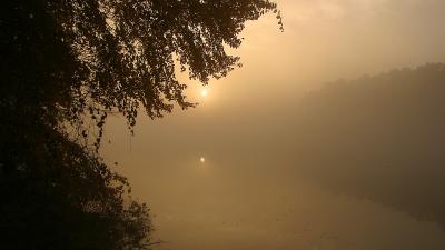 Foggy sun rise over Rockwood Lake, I