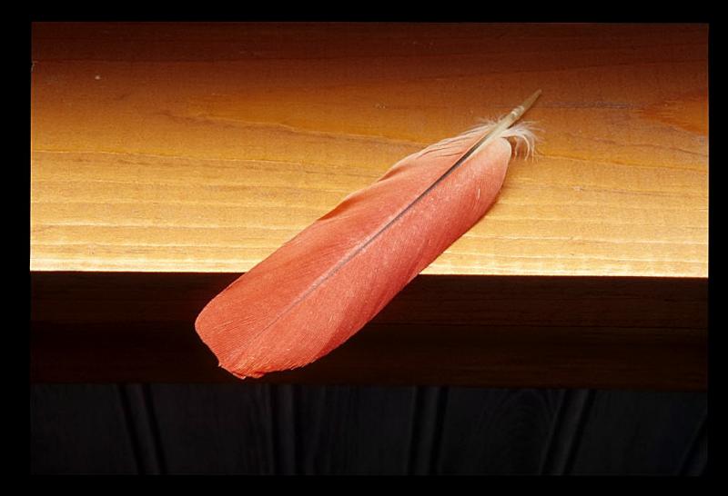 Image5.jpg