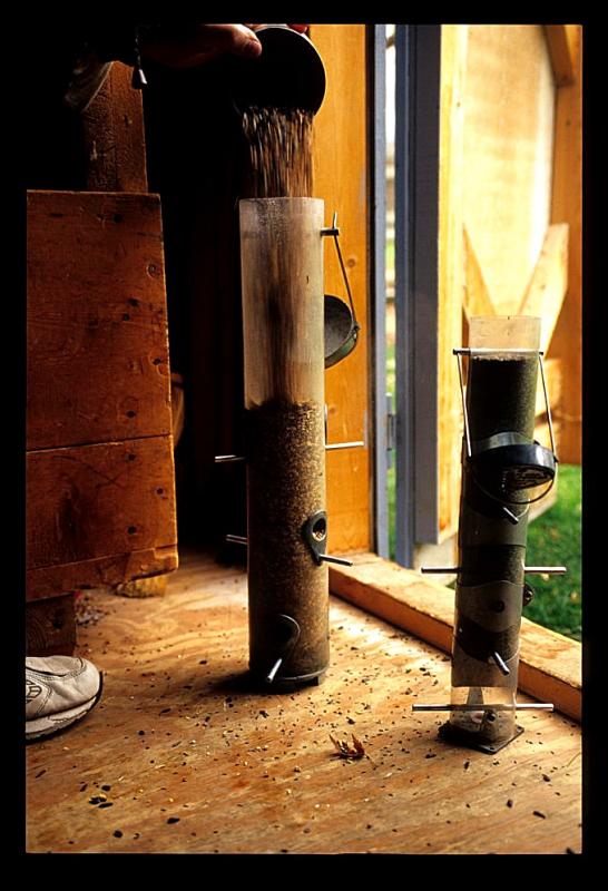 Image1.jpg
