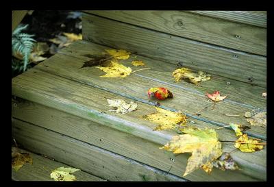 Image15.jpg