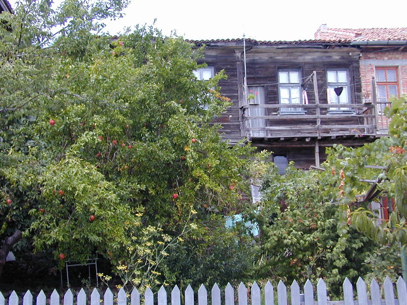 sP9126076.JPG