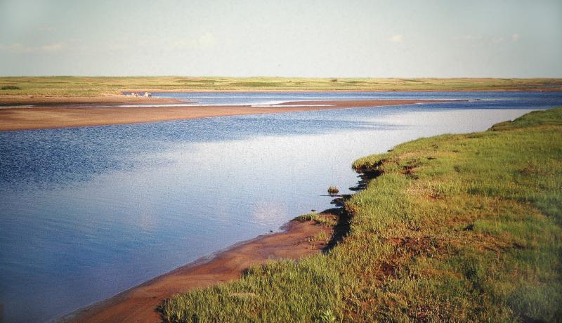 Kouchibouguac.New Brunswick