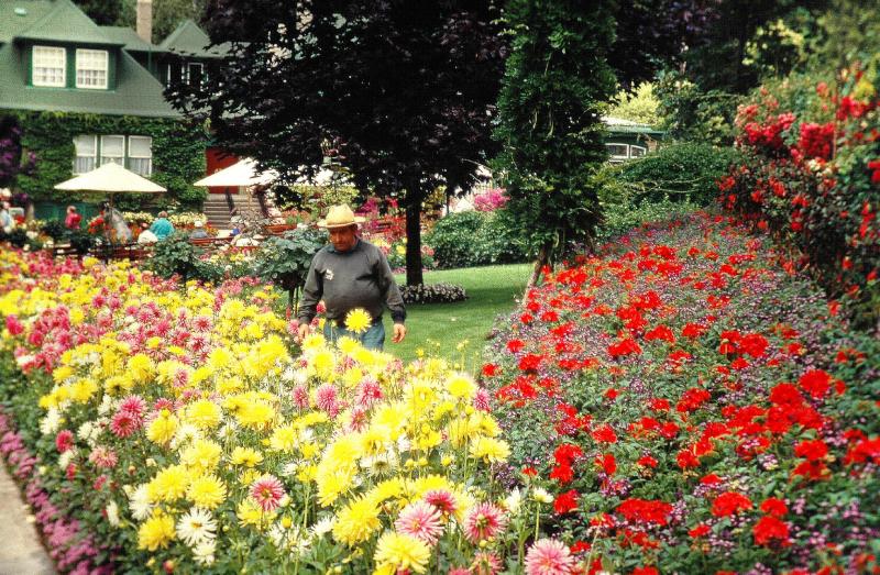 Butchart gardens.British Columbia