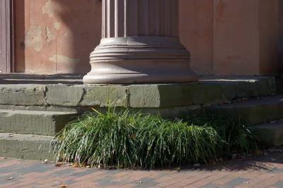 u33/nitro115/medium/35815365.IMG_1843.jpg