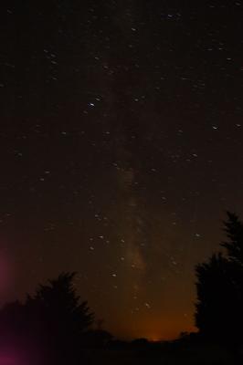 ocgs_7859.jpg