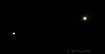 u33/nrothschild/medium/35983396.conj_11450.jpg