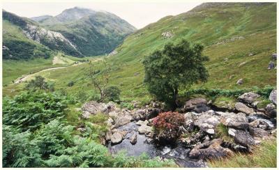 u33/paulandjane/medium/21432764.glen_nevis_with_beck.jpg