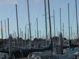 Monterey Harbour #2.jpg