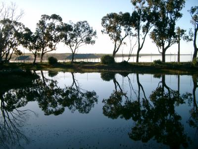 Streaky Bay wetlands South Australia