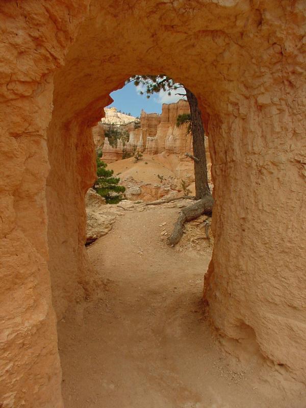 Hiking in Bryce Canyon