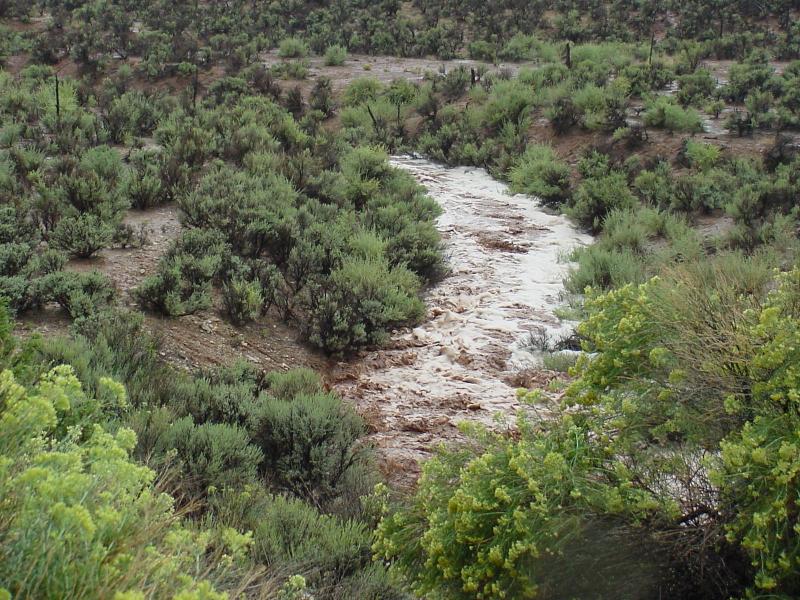 2003 flooding near Mexican Hat, Utah