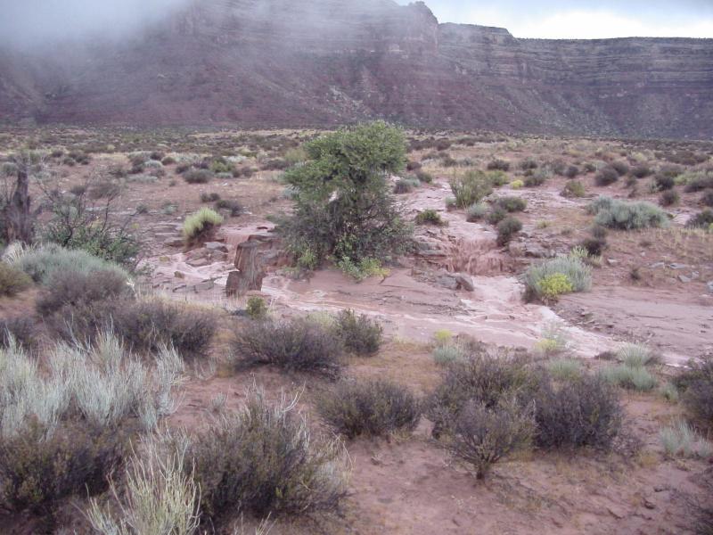 Valley of the Gods 2003 flash flood