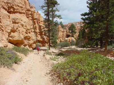 Hiking trail in Bryce Canyon
ut112.jpg
