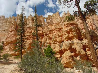 Bryce Canyon
ut113.jpg