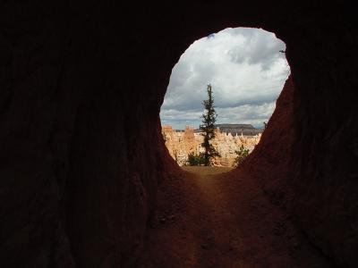 Bryce Canyon
ut115.jpg