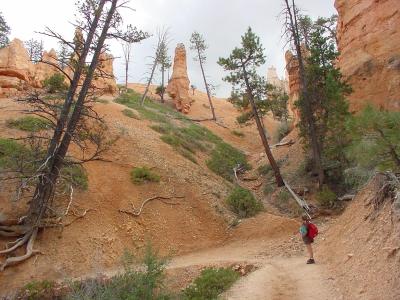 Hiking trail in Bryce Canyon