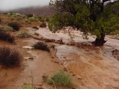 Flash flooding near Mexican Hat, Utah
ut337.jpg
