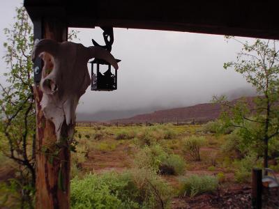 Valley of the Gods B&B
ut351.jpg