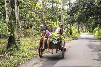 Batu Putih Village - North Sulawesi - Back from Work